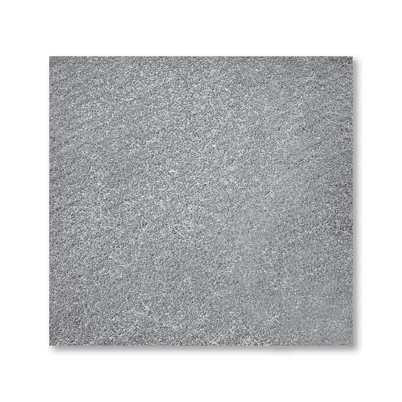 What are the advantages and functions of the silver ion filter sponge?